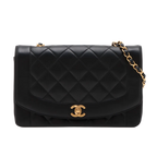 CHANEL Diana Medium Single Flap Full Set GHW (U2)
