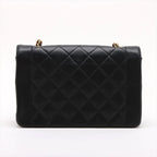 CHANEL Diana Medium Single Flap Full Set GHW (U2)